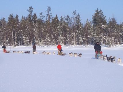 Bild 5 zur Urlaubsidee »HUSKY WEEKEND«