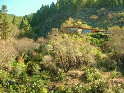 Bild 2 zur Urlaubsidee »Fasten und WELLNESS auf La Palma/Kanaren«