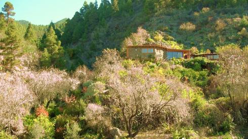 Bild 4 zur Urlaubsidee » Reinigung mit VEGANER ROHKOST und Früchte/Saftfasten auf LA PALMA/KANAREN «