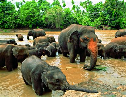 Bild 5 zur Urlaubsidee »Sri Lanka : 11 Tage Unbekannter Norden Sri Lankas «