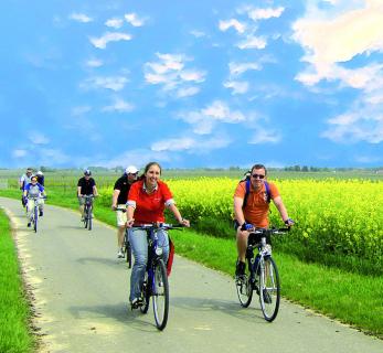 Bild 6 zur Urlaubsidee »Radfahren & Genießen – Entdecker- und Erlebnisradtouren an der Deutschen Weinstraße.«