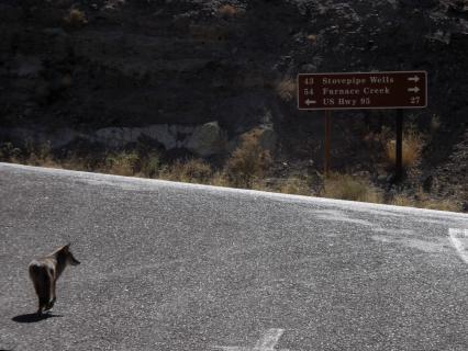 Bild 13 zur Urlaubsidee »USA Death Valley - Eine Fahrradreise von der Küste in die Wüste«