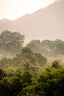 Bild 6 zur Urlaubsidee »Sri Lanka : 11 Tage Unbekannter Norden Sri Lankas «