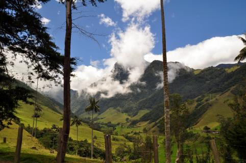 Bild 4 zur Urlaubsidee »Willys-Jeeptour durch das Quindío, inkl. Kaffeeprozess«