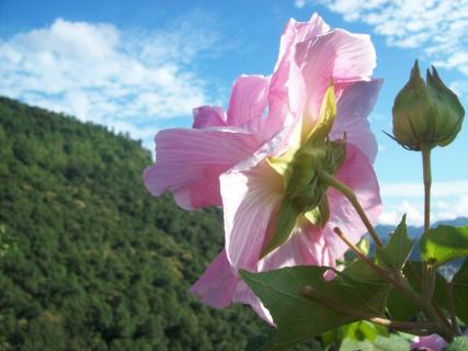 Bild 1 zur Urlaubsidee »The Castle Resort Pokhara«