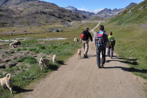 Bild 4 zur Urlaubsidee »Grönland  Perle der Arktis Abenteuer-Wanderreise (Zeltreise)«