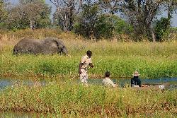Bild 1 zur Urlaubsidee »Botswana • Sambia - Fly-In-Safari mit Okavango-Delta, Moremi Reservat, Chobe NP und Victoria-Fällen«