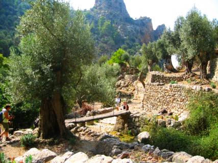 Bild 3 zur Urlaubsidee »Wandern Trekking Mandelblüte auf Mallorca«
