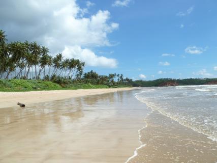 Bild 7 zur Urlaubsidee »Sri Lanka : 11 Tage Unbekannter Norden Sri Lankas «