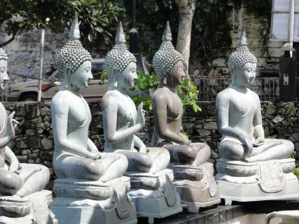Bild 1 zur Urlaubsidee »Sri Lanka aktiv«