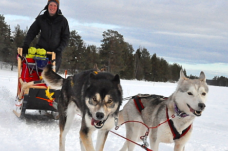 Bild 1 zur Urlaubsidee »HUSKY WEEK«