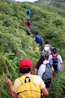 Bild 3 zur Urlaubsidee »Réunion - Wandern auf der Tropeninsel mit Komfort - 14 Tage Wanderreise mit Badeabschluss«