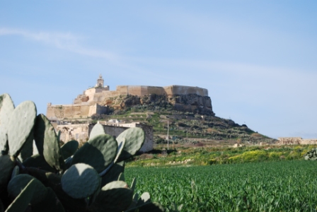 Bild 4 zur Urlaubsidee »Frühling auf Malta«
