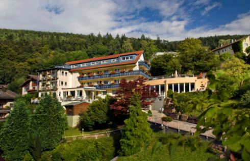 Bild 1 zur Urlaubsidee »3 Tage Schwarzwald tanken«
