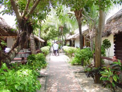 Bild 1 zur Urlaubsidee »Thailand: Samui Laguna «