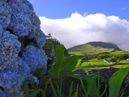 Bild 1 zur Urlaubsidee »Inspiration Pico / Naturreise zur Azoreninsel Pico«
