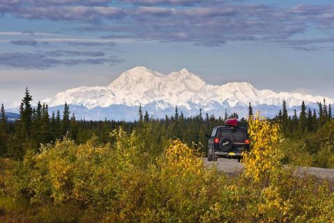 Bild 1 zur Urlaubsidee »Bären hautnah erleben in Alaska«