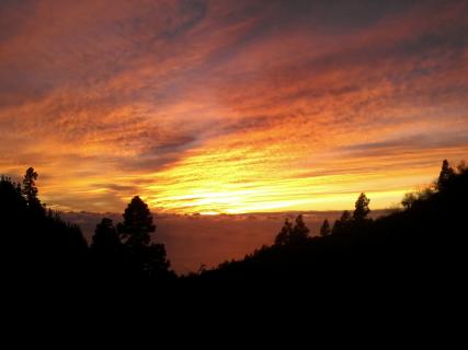 Bild 4 zur Urlaubsidee »WELLNESS-URLAUB, DETOX-, FASTEN-& YOGA-RETREATS AUF LA PALMA/KANAREN «