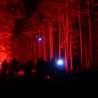 Bild 3 zur Urlaubsidee »Teamerlebnis LOST in the Wood – Das realistische Action-Abenteuer «