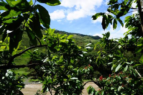Bild 3 zur Urlaubsidee »Brujita-Fahrt am Río Cauca«