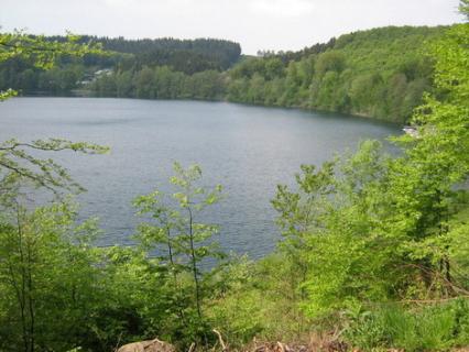 Bild 3 zur Urlaubsidee »Vulkanhaus Strohn, ein Museum der besonderen Art - klein aber fein!«