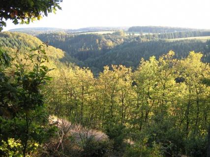 Bild 3 zur Urlaubsidee »2-Bäche-Pfad, ein Partnerweg des Eifelsteig.«