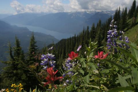 Bild 10 zur Urlaubsidee »Kanada Rocky Mountains - vorbei an türkis-farbenen Seen, tosenden Wasserfällen und mächtigen Gletschern«