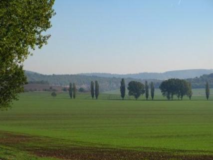 Bild 9 zur Urlaubsidee »Radreise am Ilm- und Saaleradweg - Rundtour Weimar-Naumburg-Weimar«