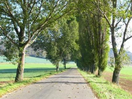 Bild 10 zur Urlaubsidee »Radreise am Ilm- und Saaleradweg - Rundtour Weimar-Naumburg-Weimar«