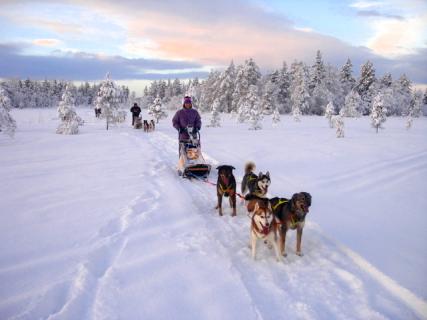 Bild 1 zur Urlaubsidee »HUSKY WEEKEND«