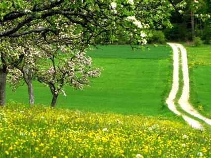 Bild 1 zur Urlaubsidee »Fahrradreise am Saaleradweg von Saalfeld nach Magdeburg«