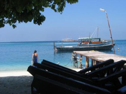 Bild 2 zur Urlaubsidee »Tauchreisen auf den Malediven an Bord der Nautilus Two«