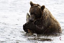 Bild 4 zur Urlaubsidee »Russland, Kamtschatka - Ursprung des Lebens - Vulkantrekking«