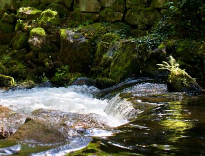 Bild 5 zur Urlaubsidee »3 Tage Schwarzwald tanken«