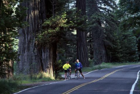 Bild 17 zur Urlaubsidee »USA Westküste - Eine traumhafte Radtour von Seattle nach San Francisco ...«