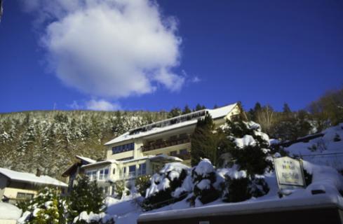 Bild 6 zur Urlaubsidee »3 Tage Schwarzwald tanken«