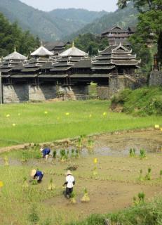 Bild 3 zur Urlaubsidee »Ethnische Vielfalten Südwest-Chinas«