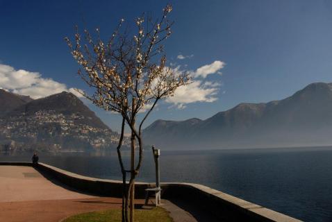 Bild 2 zur Urlaubsidee »Frühling in Lugano - Tessin «