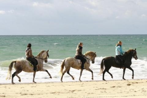 Bild 8 zur Urlaubsidee »Für Pferdebegeisterte: Erlebnisreiten in Andalusien«