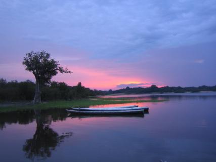 Bild 1 zur Urlaubsidee »Auf dem König der Flüsse - Mit Djoser Reisen zum Amazonas«