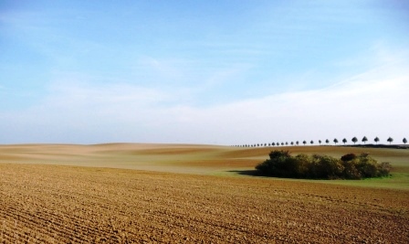 Bild 3 zur Urlaubsidee »Fahrradtouren am Oder-Neiße-Radweg von Zittau nach Usedom«
