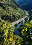 Bild 1 zur Urlaubsidee »Rheinsteig, Rheinburgenweg, Rotweinwanderweg - Panorama pur!«