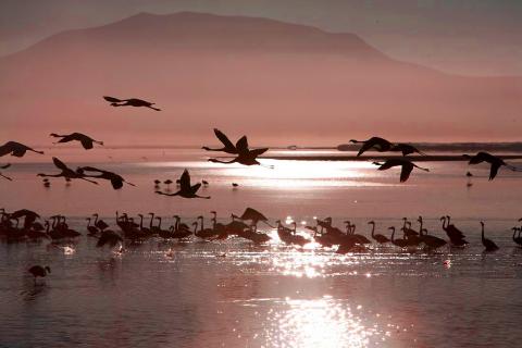 Bild 4 zur Urlaubsidee »CHILE / BOLIVIEN Foto-Exkursion«