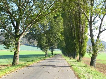 Bild 2 zur Urlaubsidee »Genießer-Radtour am Saaleradweg von Saalfeld nach Halle«