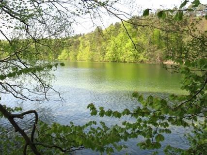 Bild 4 zur Urlaubsidee »Radreise am Havel-Radweg von Waren (Müritz) nach Berlin Spandau«