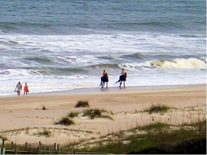 Bild 1 zur Urlaubsidee »Das ursprüngliche Florida kennenlernen auf Amelia Island«