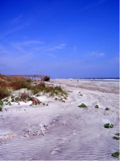 Bild 3 zur Urlaubsidee »Das ursprüngliche Florida kennenlernen auf Amelia Island«