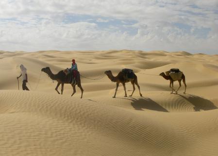 Bild 10 zur Urlaubsidee »In der südtunesischen Sahara den Alltag einer Wüstenkarawane erleben«