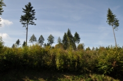 Bild 1 zur Urlaubsidee »Wandern im Land an der Lahn«
