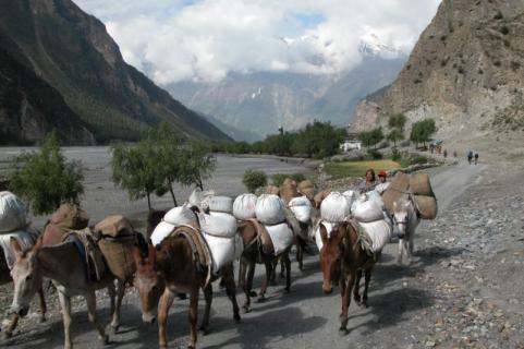 Bild 3 zur Urlaubsidee »Trekking in Nepal - Annapurna Runde «